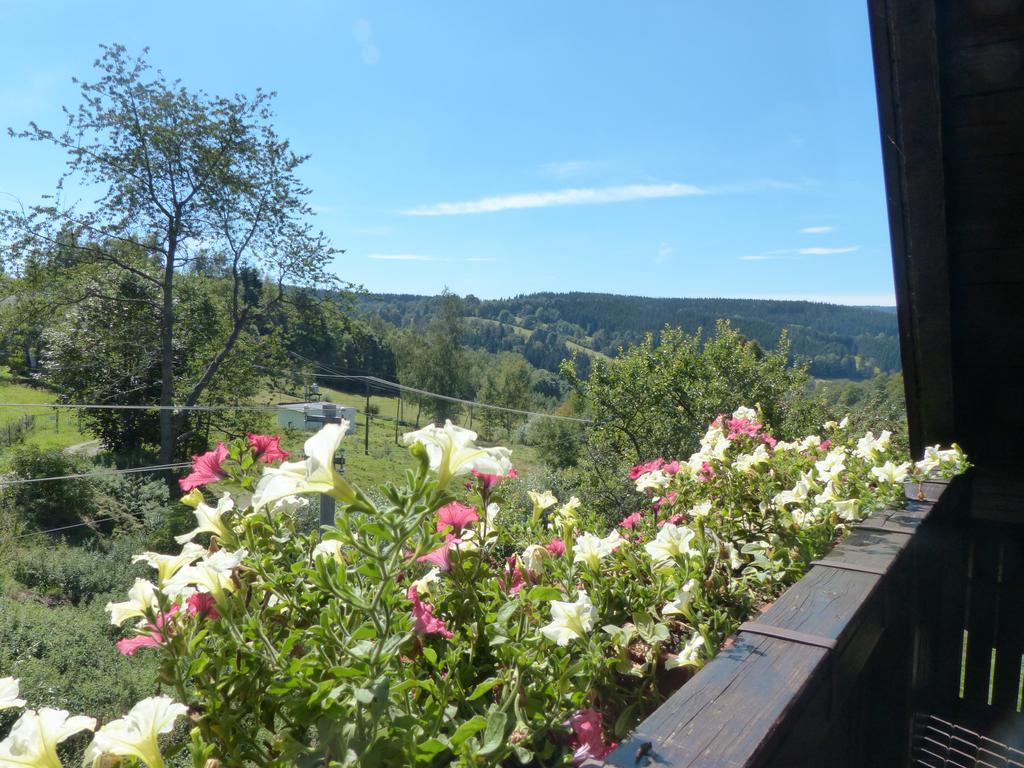 Hotel Bizoni Dvur à Retenice Extérieur photo